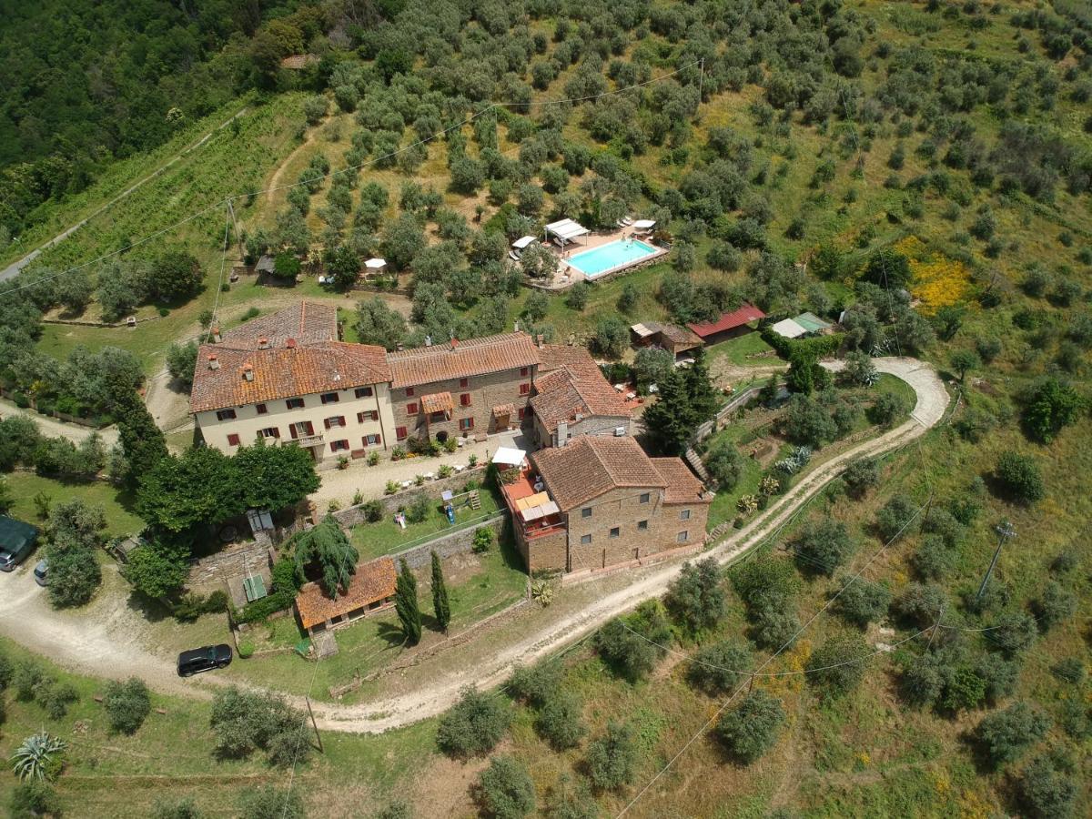 Agriturismo La Gioconda Vinci Eksteriør billede