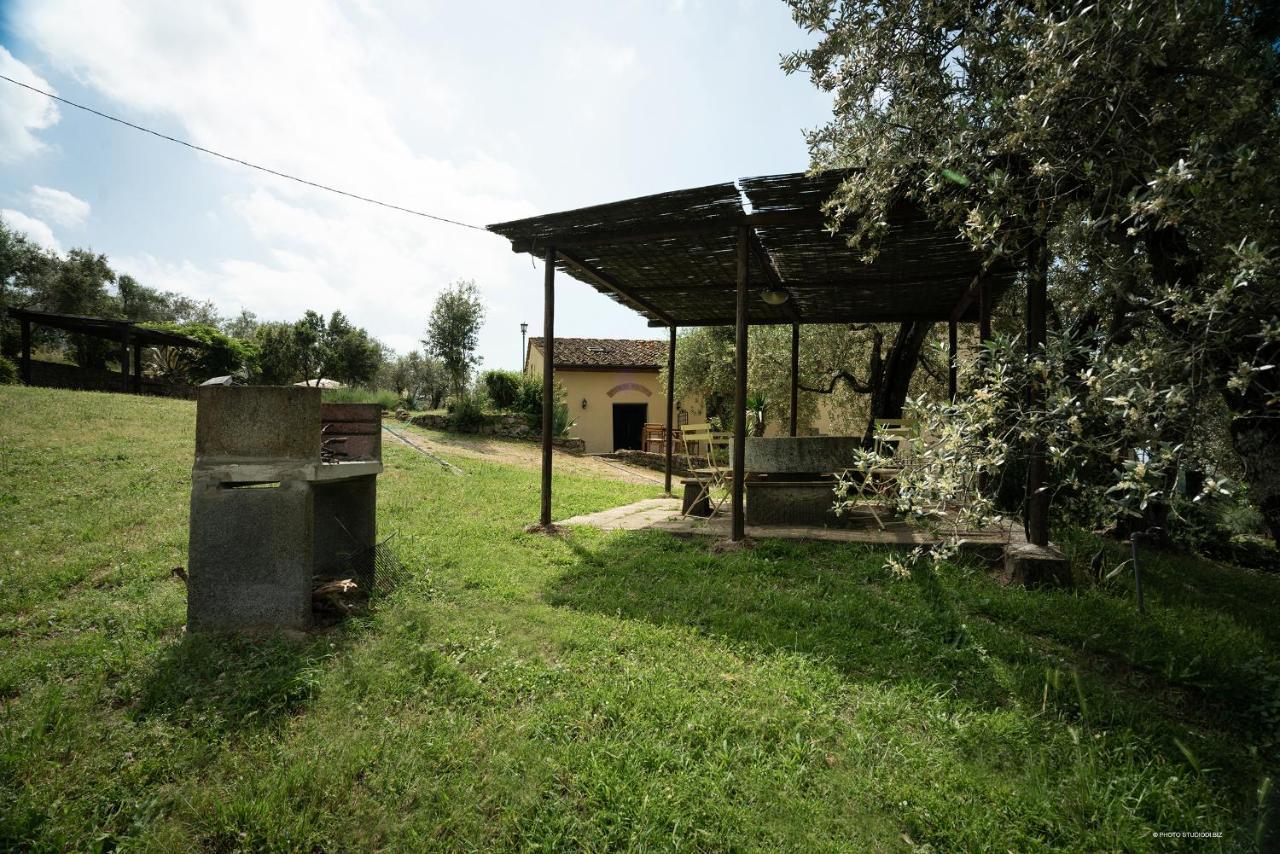 Agriturismo La Gioconda Vinci Eksteriør billede