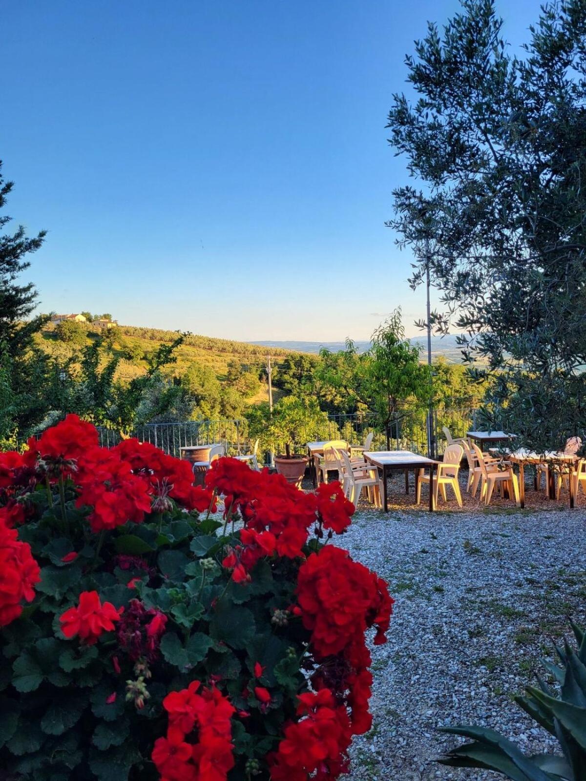 Agriturismo La Gioconda Vinci Eksteriør billede