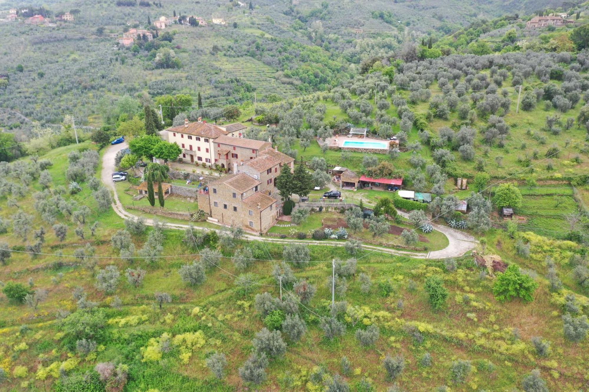 Agriturismo La Gioconda Vinci Eksteriør billede